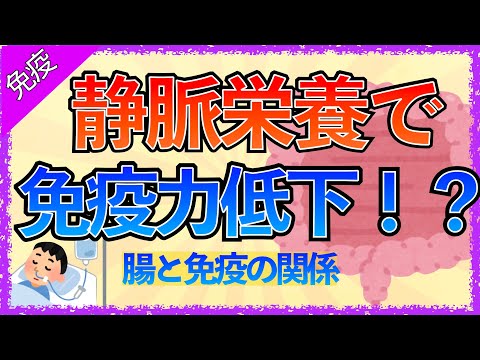 イラストで学ぶ医学！「静脈栄養で免疫力が低下する理由」腸と免疫の関係/小腸の解剖生理/静脈栄養から経腸栄養に切り替える理由