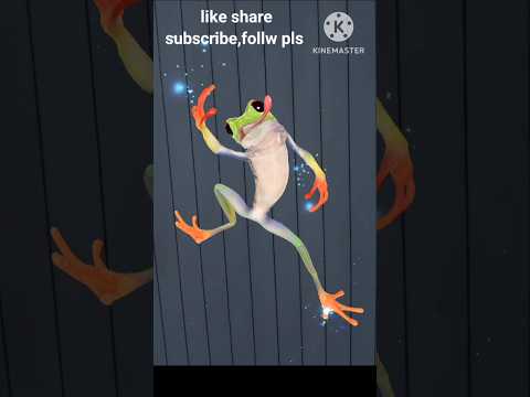 #frogy #frog #dance #funny #shortsvideo #trenfingfacts