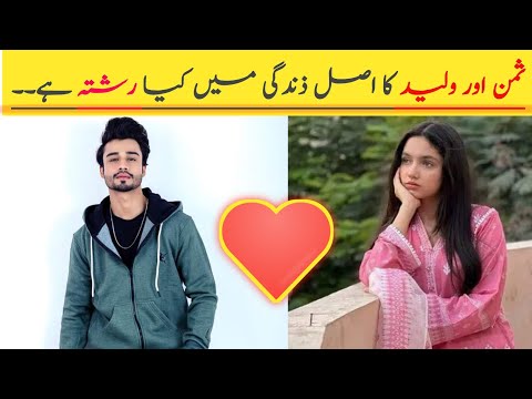 Baby Baji drama Actor Fazal Hussain Aka Waleed & Aina Asif Aka Saman Real Life Relation