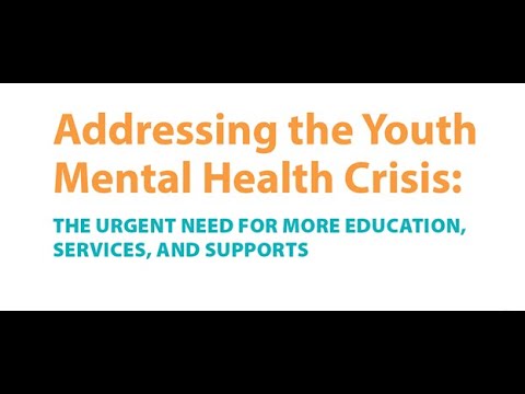 RPC Panel: Equitable Access for Youth Mental Health in Schools