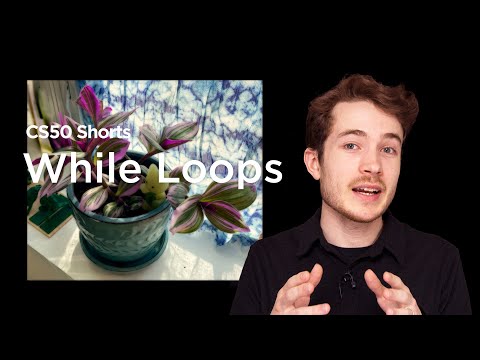 While Loops - CS50P Shorts