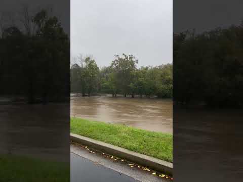 Little Pigeon River flooding parking lot behind Music Road Hotel in Pigeon Forge, TN 9:30am 9/27