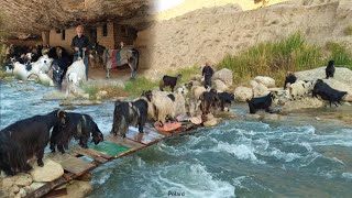 Nomadic life,discovery of caves,aqueducts and strange springs in Zagros,Iran