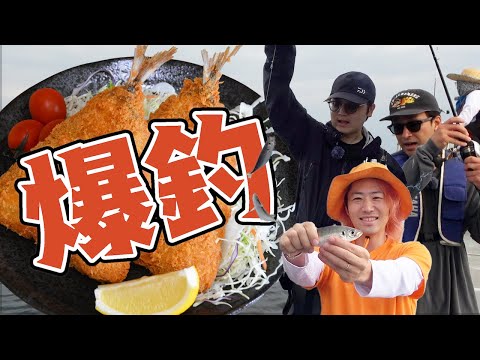 アジを釣りまくって無限にアジフライを食いたい！