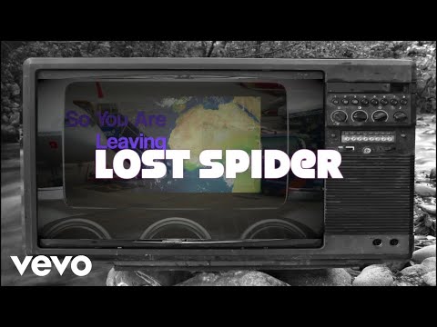 Lost Spider - So you are leaving