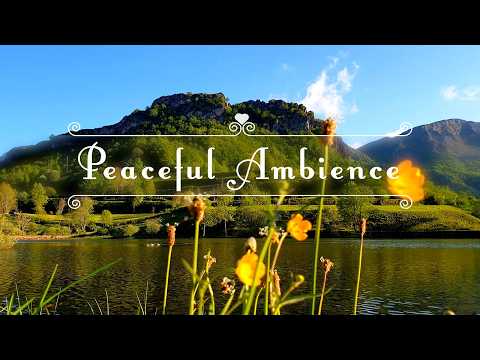 🌿🌞 Begin Your Day with POSITIVE ENERGY🌿Healing Nature Sounds 🌿Fresh Morning Peaceful Lake Ambience#4