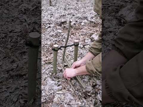 Trap #bushcraft #trap #survival