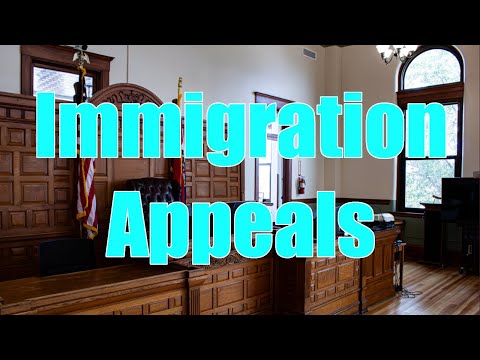 Immigration Appeals Overview