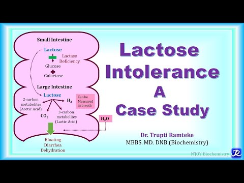 23: Lactose Intolerance: A case study | Carbohydrates Metabolism | Biochemistry| N'JOY Biochemistry