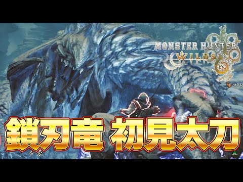 【モンハンワイルズ】アルシュベルド 初見  太刀 ソロに挑むタカティン OBT２『モンスターハンターワイルズ』