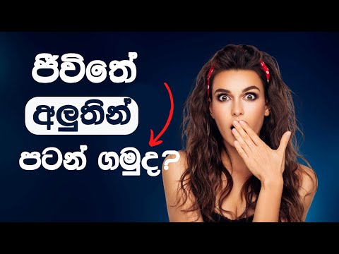 ජීවිතේ අලුතින් පටන්ගමු I Start a new life #life #sinhala #motivation #new