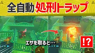 【天才】ゼルダガチ勢の天才が作ったトラップがヤバすぎたｗｗｗｗ【ティアキン】【面白クリップ集】