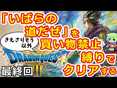 【DQ3 HD-2Dリメイク】子供の頃にやり尽くしたドラクエ3なら買い物禁止縛りで「いばらの道だぜ」クリアできる実況プレイ！※ネタバレ注意 Part 10