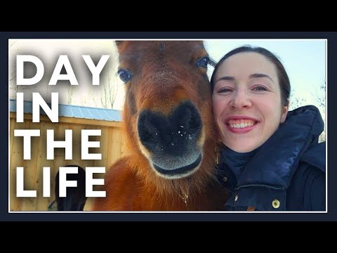 My Small Farm - A Day In The Life