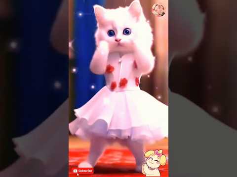 Patli kamariya more hai hai || cute cat dance video || #shorts #cat #shortsfeed