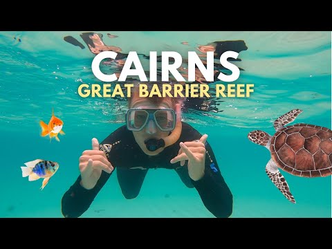 Experiencing the BEST of Cairns | Snorkeling, Waterfalls and Koalas!