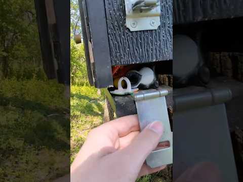 Everything falls out of this geocache when you open it! | GeoTrek #shorts