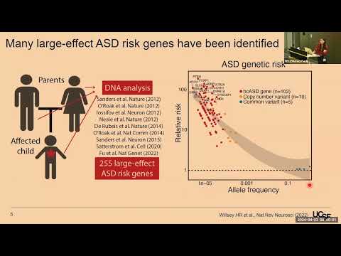 A Foundational Autism Protein Interaction Atlas Reveals Molecular Convergence