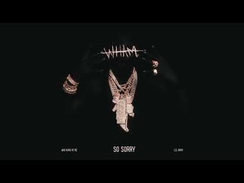 Lil Baby - So Sorry (Official Visualizer)