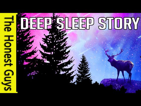 The Great Yew: Guided Deep Sleep Story (Haven Series) A Faerie Story