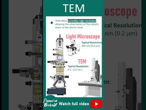 Transmission Electron Microscopy  (TEM)  explained in 1 minutes | Techniques in biology playlist