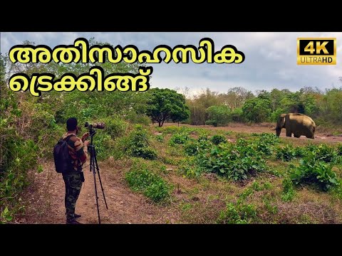 Bear Path Trekking Trail Parambikulam | Parambikulam Tiger Reserve | 4K UHD