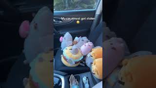 Rip my keys #pusheen #plush #plushies #cat #kitty #kawaii #cute #squish #squishmallows #car