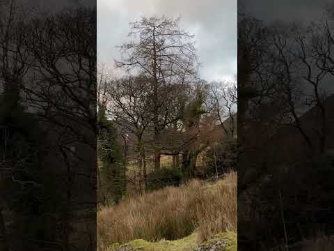 Buttermere church and school #church #shortsvideo  #school @Buttermere #LakeDistrict ￼#Nature￼