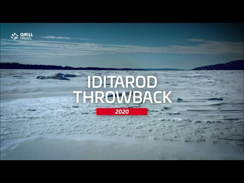 Iditarod 2020 Throwback| QRILLPAWS 2021