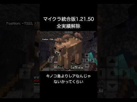 【マイクラBE1.21.50】全実績解除の瞬間