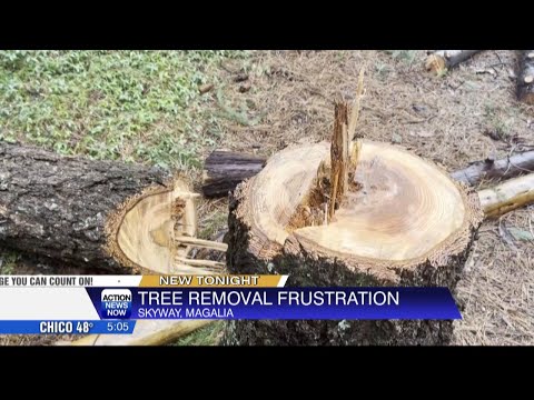 Tree Troubles In Magalia