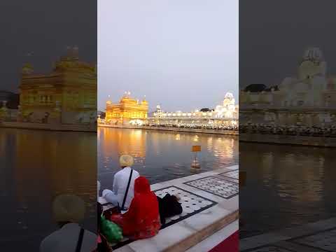 The Golden Temple Sri Amritsar Sahib #amritsar #amritsarlive #amritsarnews #amritsarlivekirtantoday