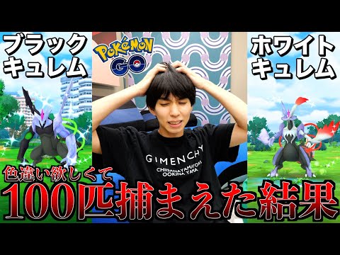 ついにキュレム合体！1日で100匹捕まえたら色違い確率がヤバかった。【ポケモンGO】