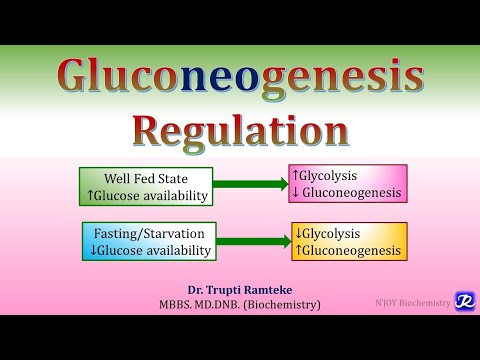 16: Gluconeogenesis- Regulation | Carbohydrates metabolism | Biochemistry |N'JOY Biochemistry