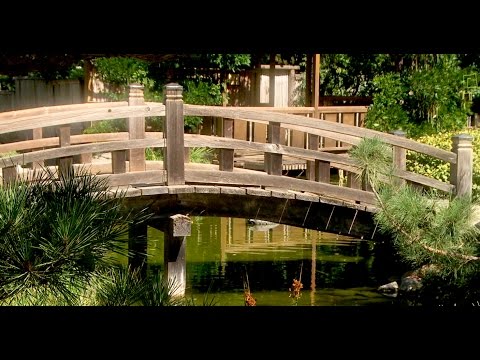 Zen Garden - Spiritual Oasis- Total Relaxation & Mindfulness