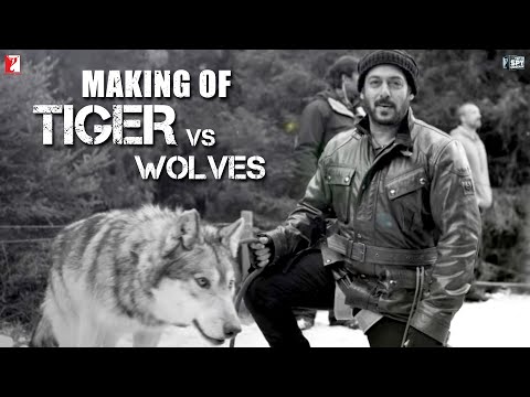 The MOST Dangerous Action Sequence | Making of Tiger Zinda Hai | Salman, Katrina | Ali Abbas Zafar