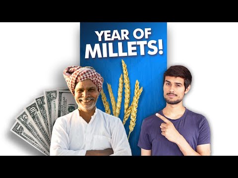 Why 2023 is the Year of Millets?