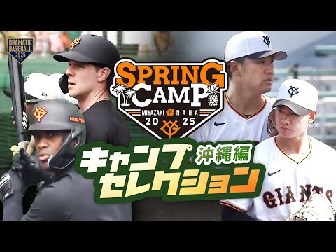 2025 キャンプセレクション〈沖縄編〉TOP3 【巨人】【春季キャンプ】