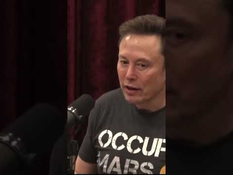 Joe Rogan and Elon discuss Trump Twitter ban. #jrefans #fypシ゚viral #foryou #joeroganpodcast