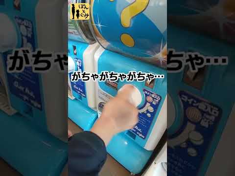 【ぽんとぐみ】謎ガチャの結果は？