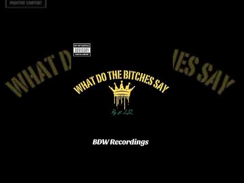 What did the Bitches say - Ry ft- LIL - BDW Recordings