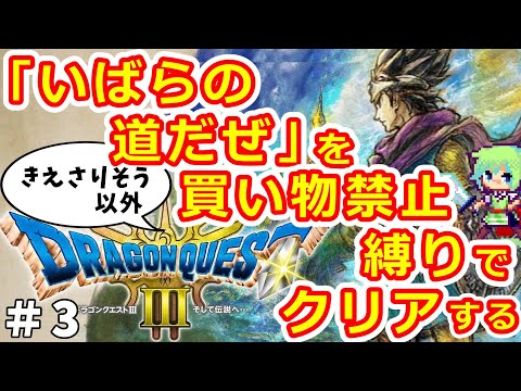 【DQ3 HD-2Dリメイク】子供の頃にやり尽くしたドラクエ3なら買い物禁止縛りで「いばらの道だぜ」クリアできる実況プレイ！※ネタバレ注意 Part 3