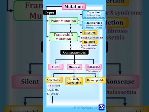 Mutation: Summary in one minute