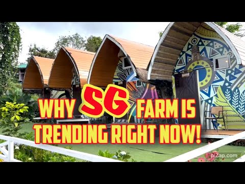 SG Farms: The Ultimate Guide #uppbeatmusic