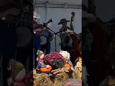 From the Autumn Leaves Festival in Mount Airy 2024 #bluegrassmusic #