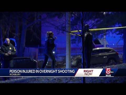 Man shot in Roxbury