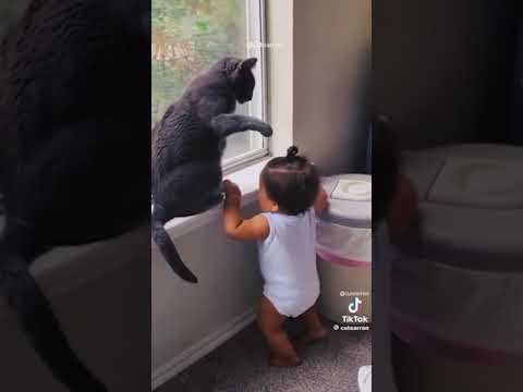 Funny Animal’s #Funny #FunnyAnimals #FunnyClips #FunnyReels #Animals