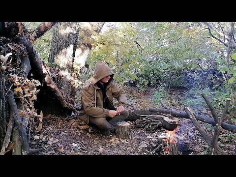 Natural shelter, wooden Holder, Mushrooms, Tea