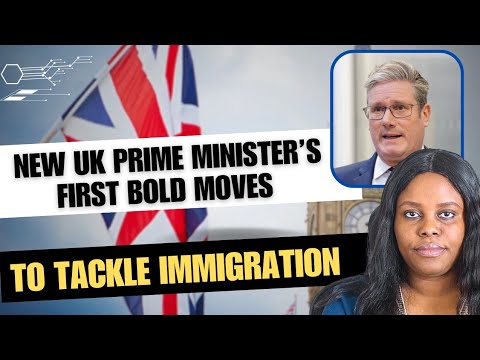 Uk PM Kick Starts Immigration Plan On First Day In Office / New Era For Immigration / Temu Haul