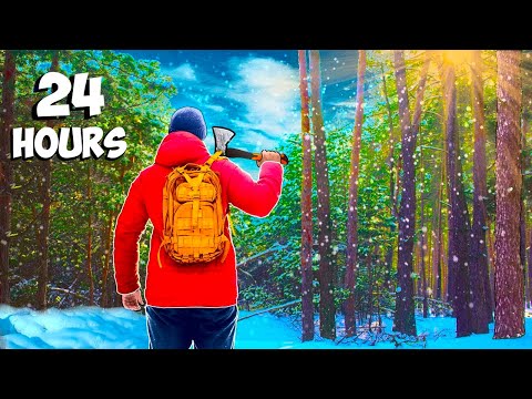 24 hours in the winter forest - looking for food / survival / bushcraft